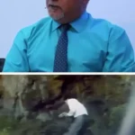 بهروز افخمی از نقش پدر نیکی کریمی در قراردادهای بازیگری می گوید