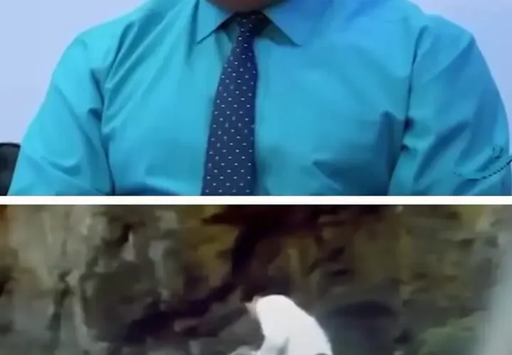 بهروز افخمی از نقش پدر نیکی کریمی در قراردادهای بازیگری می گوید 6 بهروز افخمی از نقش پدر نیکی کریمی در قراردادهای بازیگری می گوید