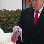 ترامپ صدای بوقلمون را به راه انداخت