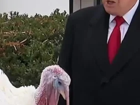 ترامپ صدای بوقلمون را به راه انداخت