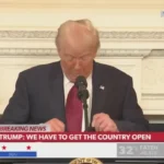 ترامپ: کاش وزرای من به اندازه وزرای شی می ترسیدند!