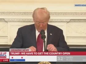 ترامپ: کاش وزرای من به اندازه وزرای شی می ترسیدند! 8 ترامپ: کاش وزرای من به اندازه وزرای شی می ترسیدند!