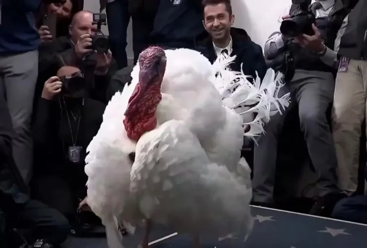 ترکیه در مراسم عفو مورد توجه پسر سخنگوی کاخ سفید قرار گرفت 16 ترکیه در مراسم عفو مورد توجه پسر سخنگوی کاخ سفید قرار گرفت