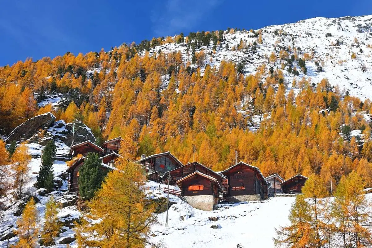 تصاویر; شکوه رنگ های پاییزی در سراسر جهان