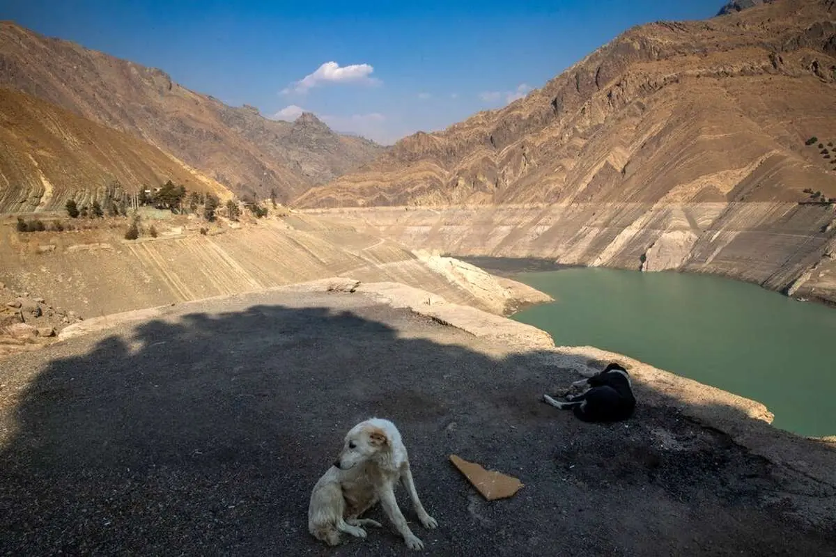 تصاویر; وضعیت سد کرج