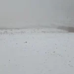 تفرجگاه برفی شد/ بارش برف در ارتفاعات پایتخت