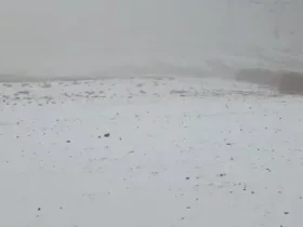 تفرجگاه برفی شد/ بارش برف در ارتفاعات پایتخت 11 تفرجگاه برفی شد/ بارش برف در ارتفاعات پایتخت