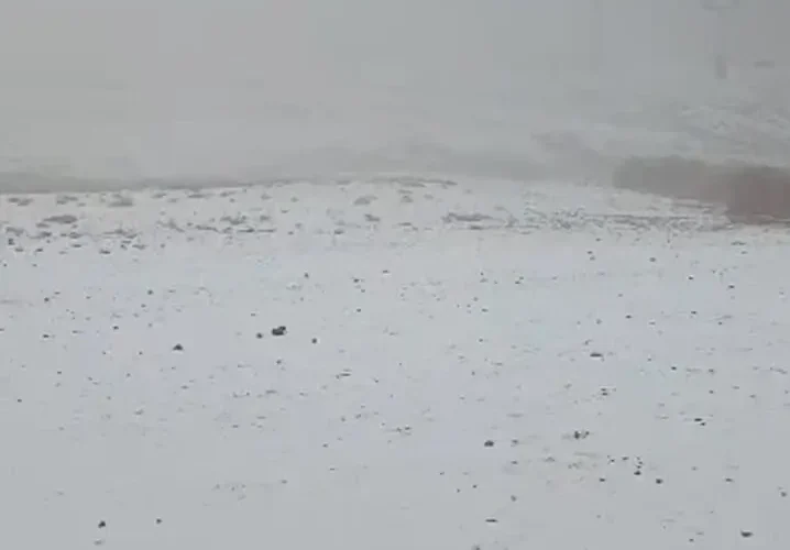 تفرجگاه برفی شد/ بارش برف در ارتفاعات پایتخت