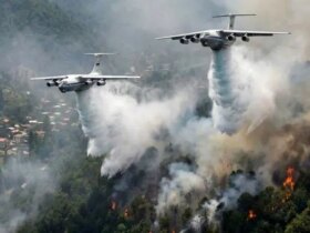 جزئیات عملیات اطفای حریق الیت در مناطق کوهستانی و جنگلی