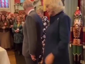 جشن تولد 77 سالگی پادشاه انگلستان 9 جشن تولد 77 سالگی پادشاه انگلستان