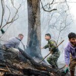 جنگل نخبگان و درس ملی: نیاز مبرم به یک مرکز اطفای حریق خصوصی