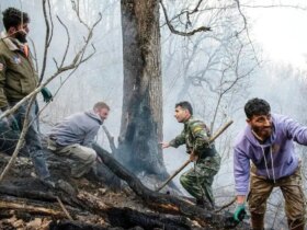 جنگل نخبگان و درس ملی: نیاز مبرم به یک مرکز اطفای حریق خصوصی
