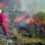 جنگل های دیزمار جلفا می سوزد / سه دره موازی می سوزد