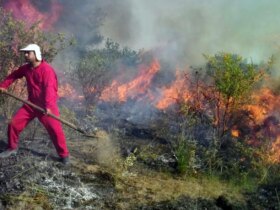 جنگل های دیزمار جلفا می سوزد / سه دره موازی می سوزد