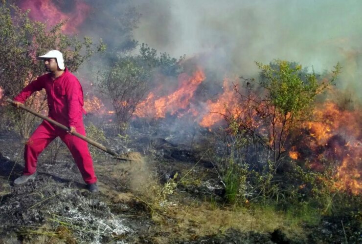 جنگل های دیزمار جلفا می سوزد / سه دره موازی می سوزد