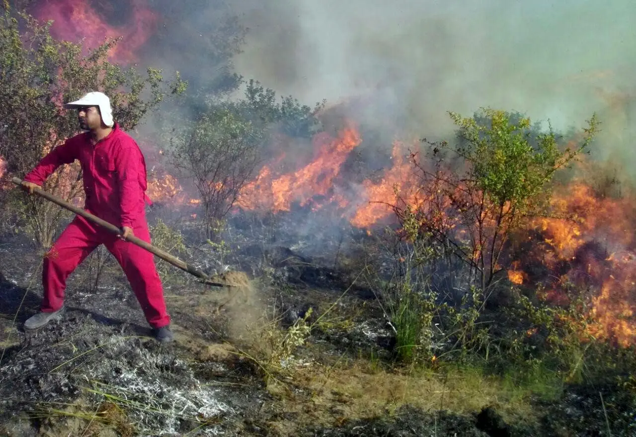 جنگل های دیزمار جلفا می سوزد / سه دره موازی می سوزد