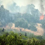 خبر خوش از گالیکش و کلاله; آتش سوزی جنگل های هیرکانی در بسیاری از نقاط خاموش شد