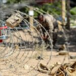 در لایحه قانون جدید تغییر وضعیت استخدامی فرزندان شاهد نیز لحاظ شده است.