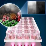 درمان سرطان با نور LED بدون آسیب رساندن به سلول های سالم