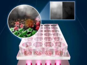 درمان سرطان با نور LED بدون آسیب رساندن به سلول های سالم