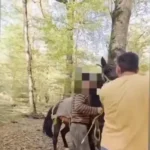 دستگیری قاچاقچی چوب که جنگل بانان آملی را «با داس و تبر» کشت.