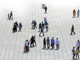 دولت اشغالگر هیچ کاری نمی تواند بکند 9 دولت اشغالگر هیچ کاری نمی تواند بکند