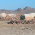 روایت رسول کادم از فقر در روستای کپرنشین زاهدان