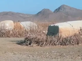 روایت رسول کادم از فقر در روستای کپرنشین زاهدان