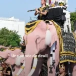 رژه فیل های صورتی در تایلند برای بزرگداشت ملکه مادر