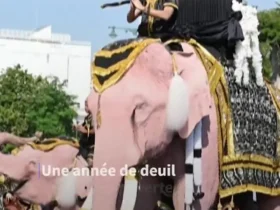 رژه فیل های صورتی در تایلند برای بزرگداشت ملکه مادر