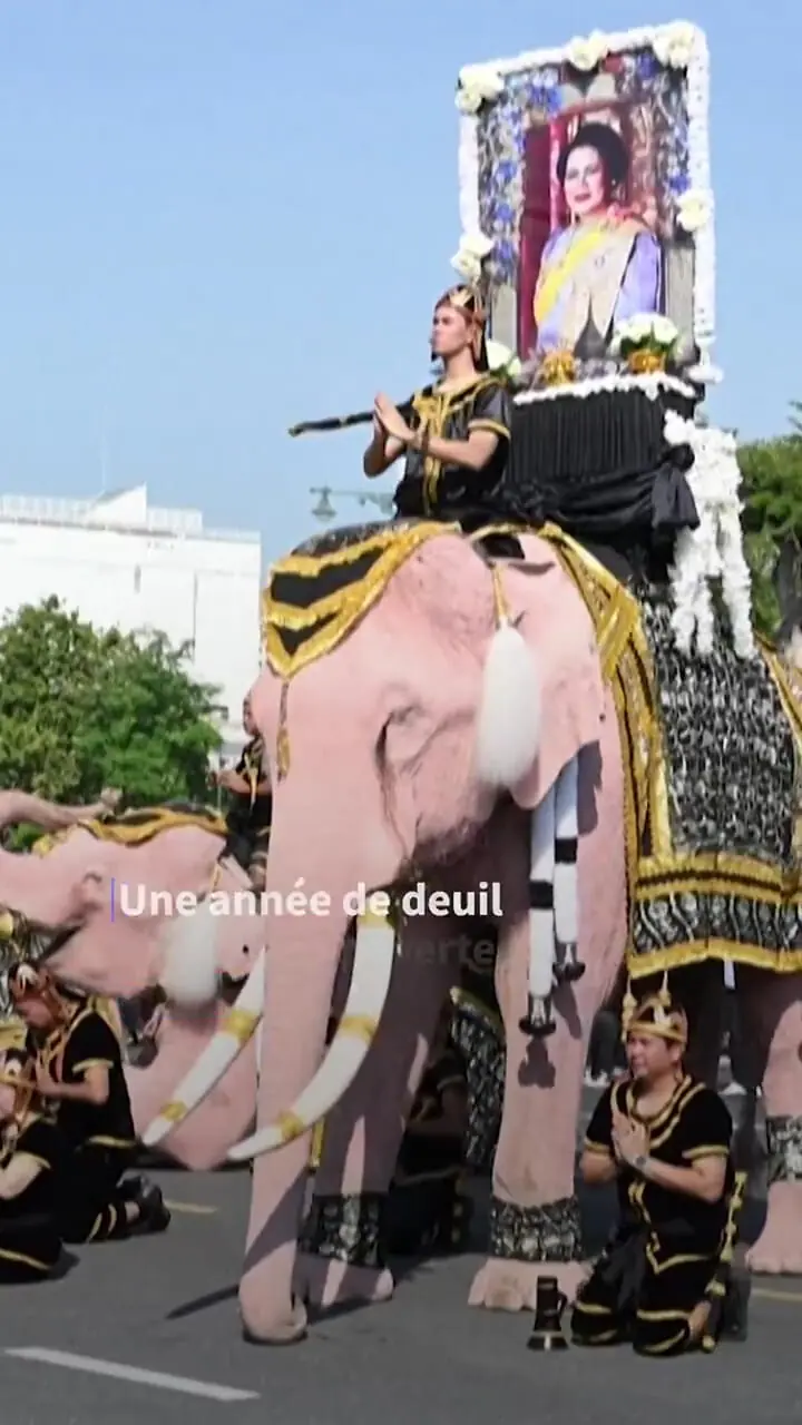 رژه فیل های صورتی در تایلند برای بزرگداشت ملکه مادر