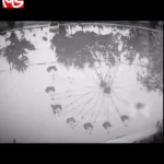 سال 1350; قدیمی ترین شهربازی تهران