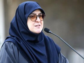 سخنگوی دولت: جمهوری اسلامی پیام هایی از میانجی ها دریافت کرد 8 سخنگوی دولت: جمهوری اسلامی پیام هایی از میانجی ها دریافت کرد