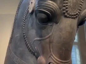 سردیس بزرگ "کله گاو" پرسپولیس در شیکاگو