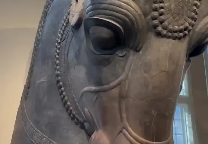 سردیس بزرگ "کله گاو" پرسپولیس در شیکاگو 10 سردیس بزرگ "کله گاو" پرسپولیس در شیکاگو