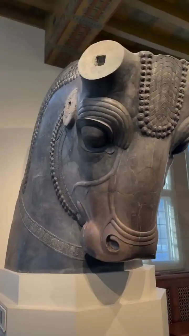 سردیس بزرگ "کله گاو" پرسپولیس در شیکاگو