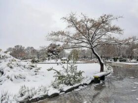 سرمای شبانه در 5 مرکز استان ادامه دارد 8 سرمای شبانه در 5 مرکز استان ادامه دارد