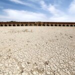 شبه علم و بحران معنا در عصر خشکسالی