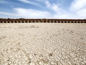شبه علم و بحران معنا در عصر خشکسالی