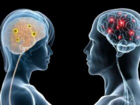 صدها ژن در مغز مردان و زنان متفاوت عمل می کنند