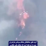 فریاد جنگلبانان برای آتش زدن جنگل های هیرکانی