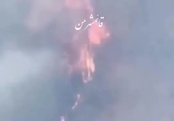 فریاد جنگلبانان برای آتش زدن جنگل های هیرکانی 22 فریاد جنگلبانان برای آتش زدن جنگل های هیرکانی