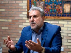 فلاحت پیشه: رئیس جمهور بعد از روی کار آمدن نمی تواند بگوید من نمی توانم.