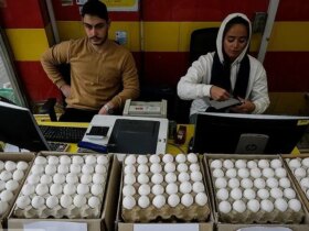 قیمت تخم مرغ اعلام شد 8 قیمت تخم مرغ اعلام شد
