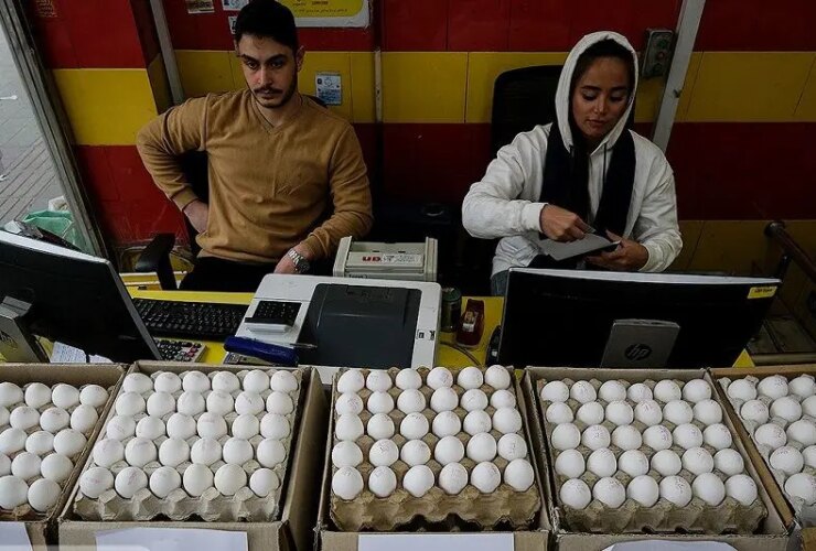 قیمت تخم مرغ اعلام شد 6 قیمت تخم مرغ اعلام شد