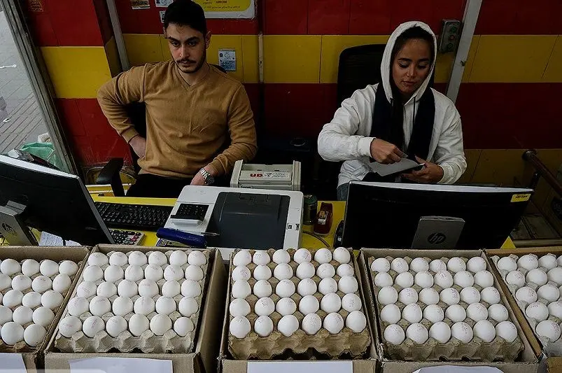 قیمت تخم مرغ اعلام شد