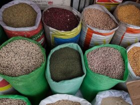 قیمت لوبیا قرمز در یک سال 140 درصد افزایش یافت 10 قیمت لوبیا قرمز در یک سال 140 درصد افزایش یافت