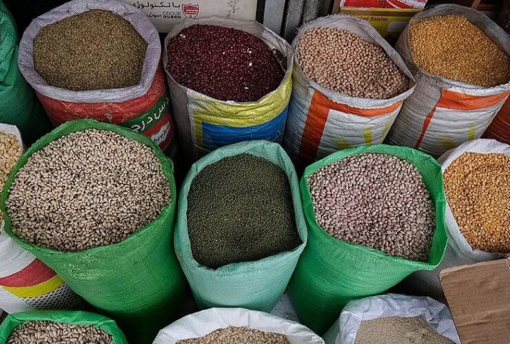 قیمت لوبیا قرمز در یک سال 140 درصد افزایش یافت 3 قیمت لوبیا قرمز در یک سال 140 درصد افزایش یافت