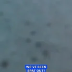 لحظه بلعیده شدن دوربین غواص توسط کوسه