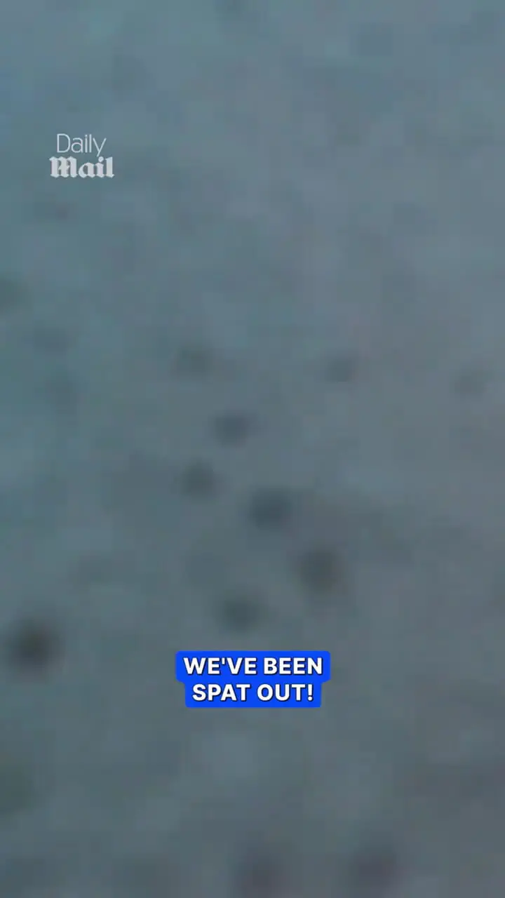 لحظه بلعیده شدن دوربین غواص توسط کوسه